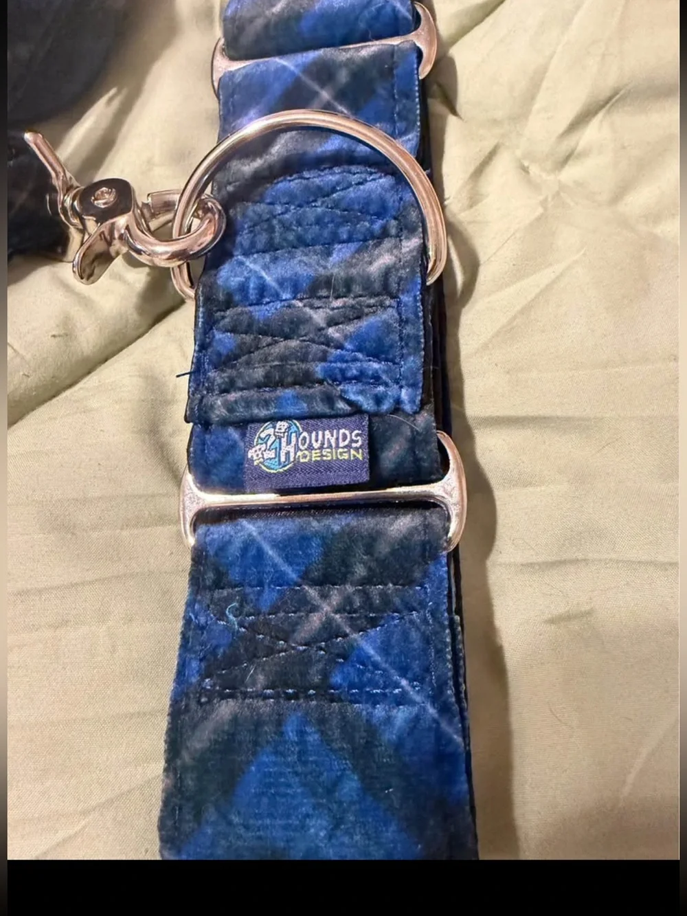Two 2” martingale colors and 4’ leash.  14-18” neck. Greyhound or whippet.  New